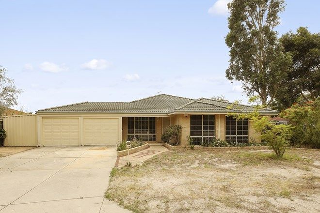 Picture of 28 Campolino Gardens, STRATTON WA 6056