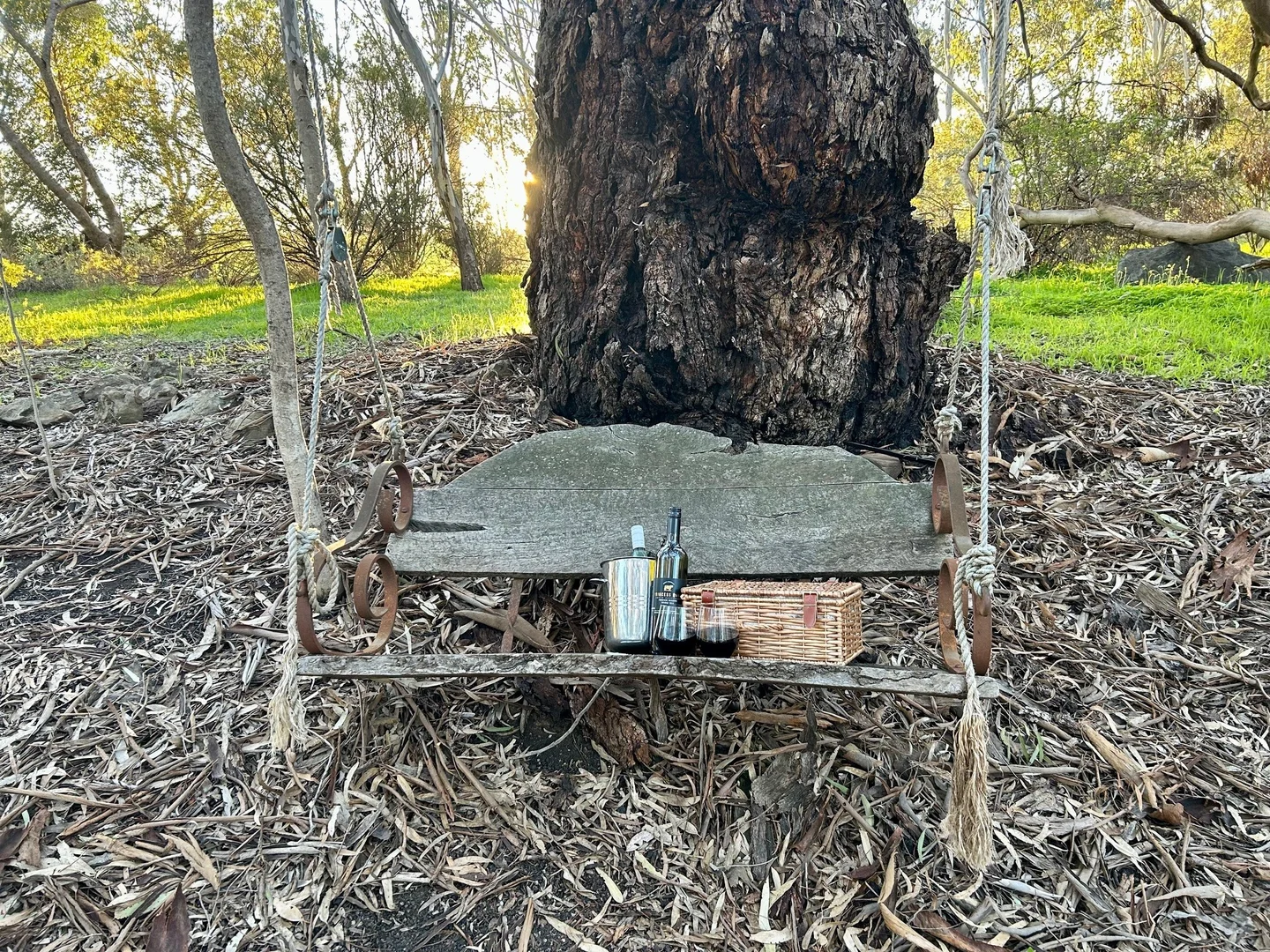 Image 19