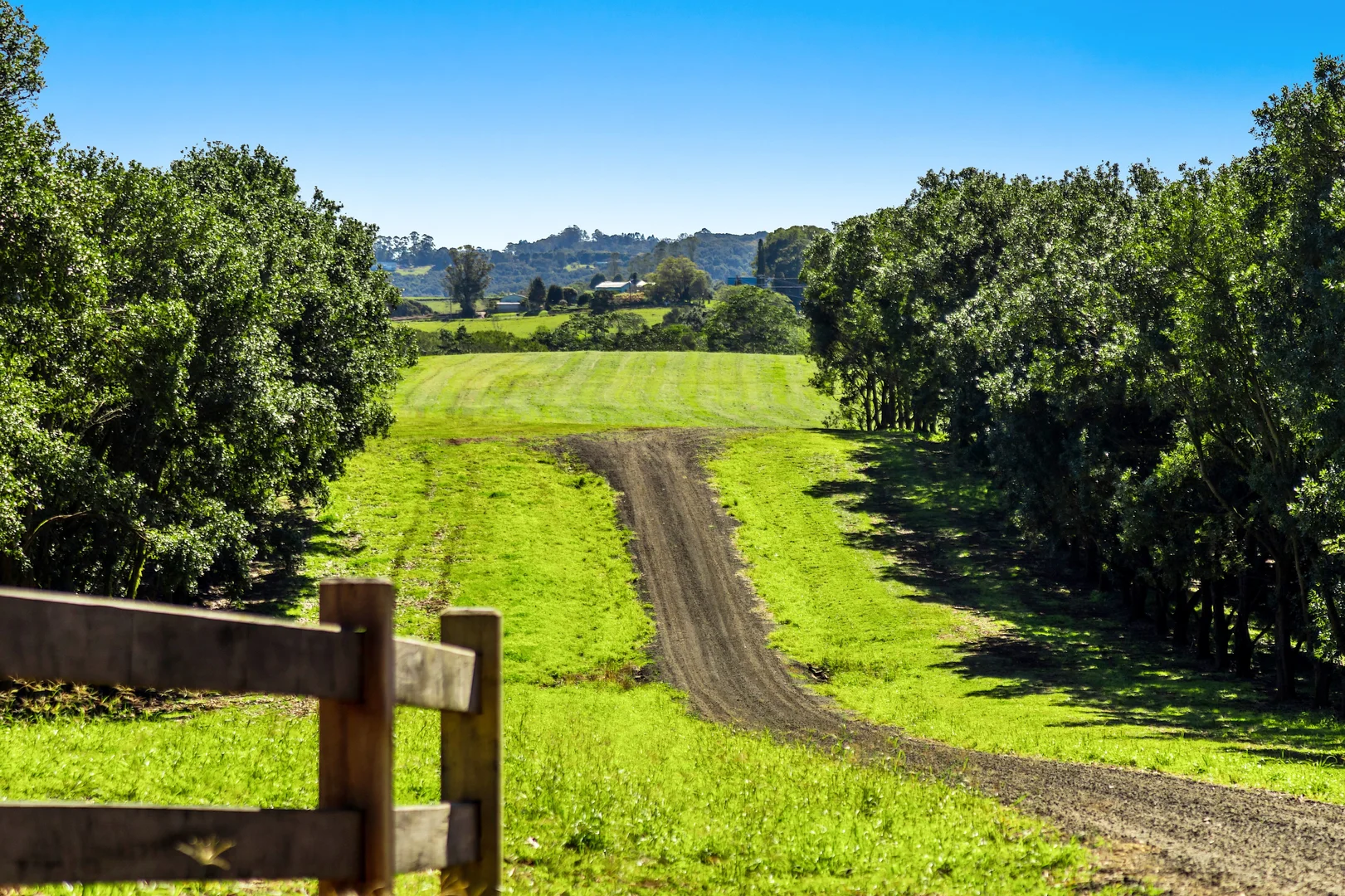 Additional image 10 of 34 Bencluna Lane, Eureka NSW 2480