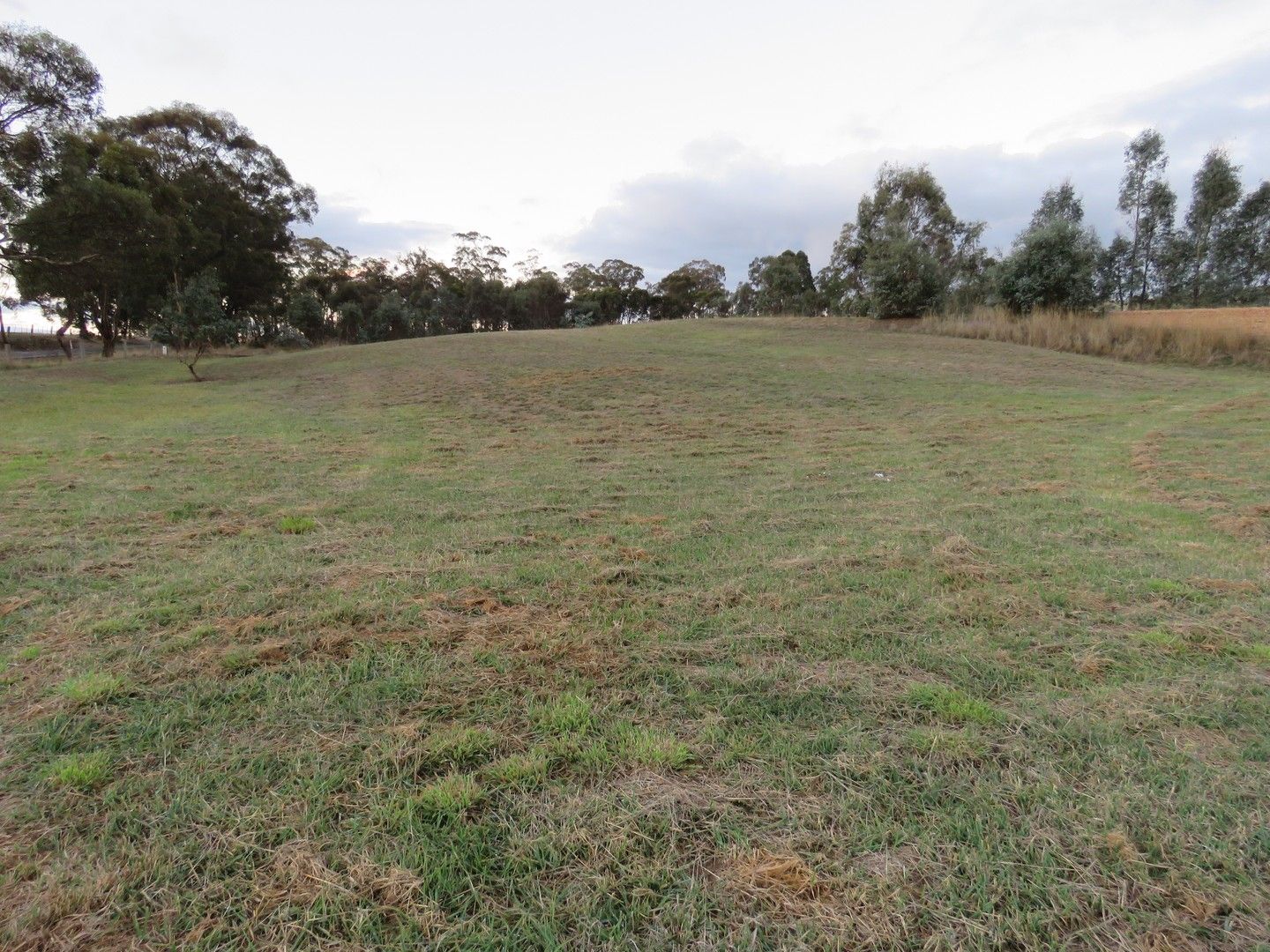 1745 Mccallums Creek Road, Mount Glasgow VIC 3371, Image 1