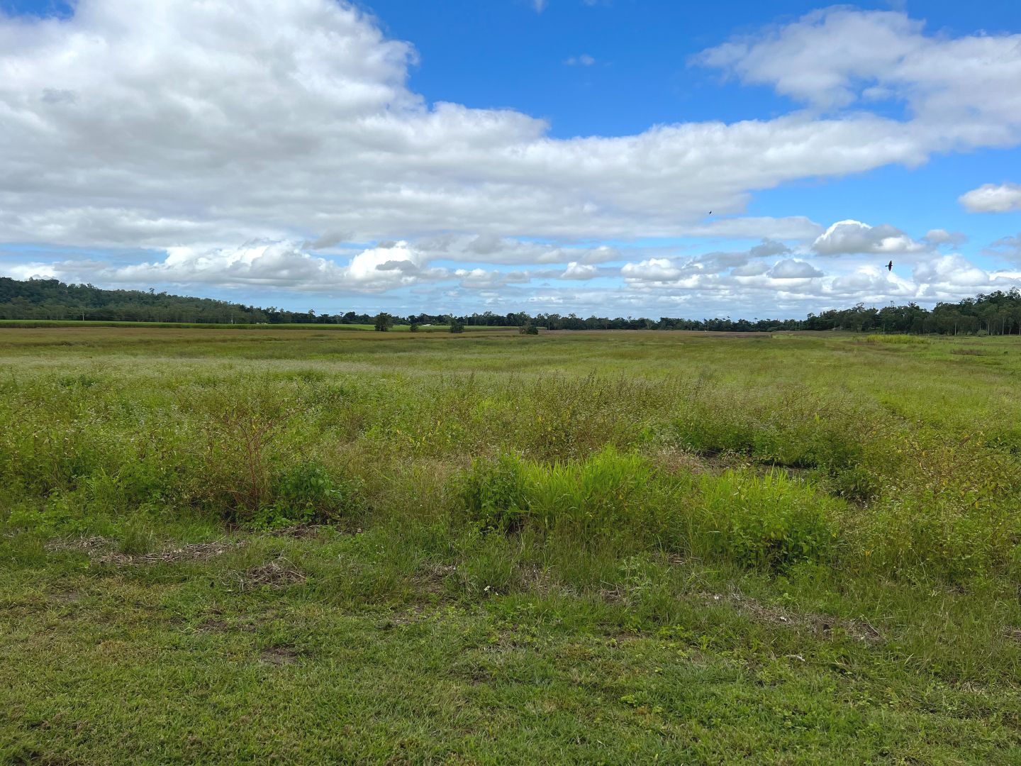 Lot 1 Wright Road, Strathdickie QLD 4800 Domain