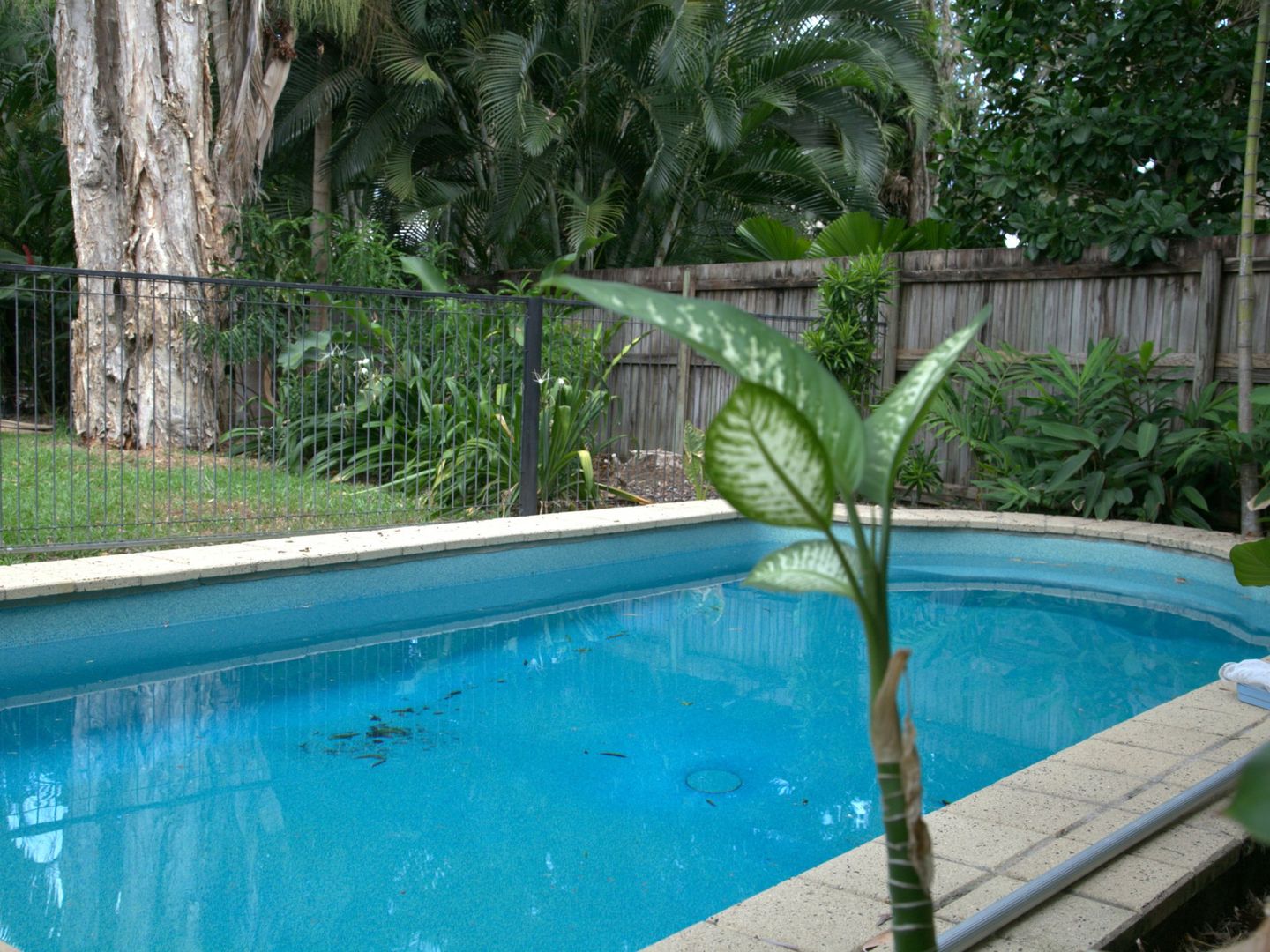 11 Fronds/33 Nautilus Street, Port Douglas QLD 4877, Image 1