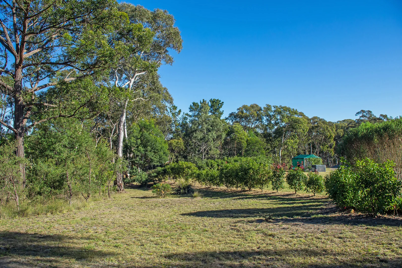 Image 10