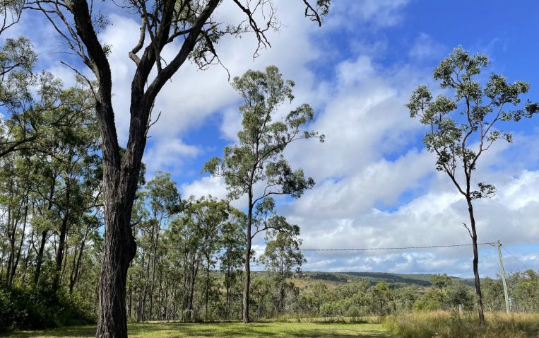 Lot 28 Thompson Road, Runnymede QLD 4615, Image 2