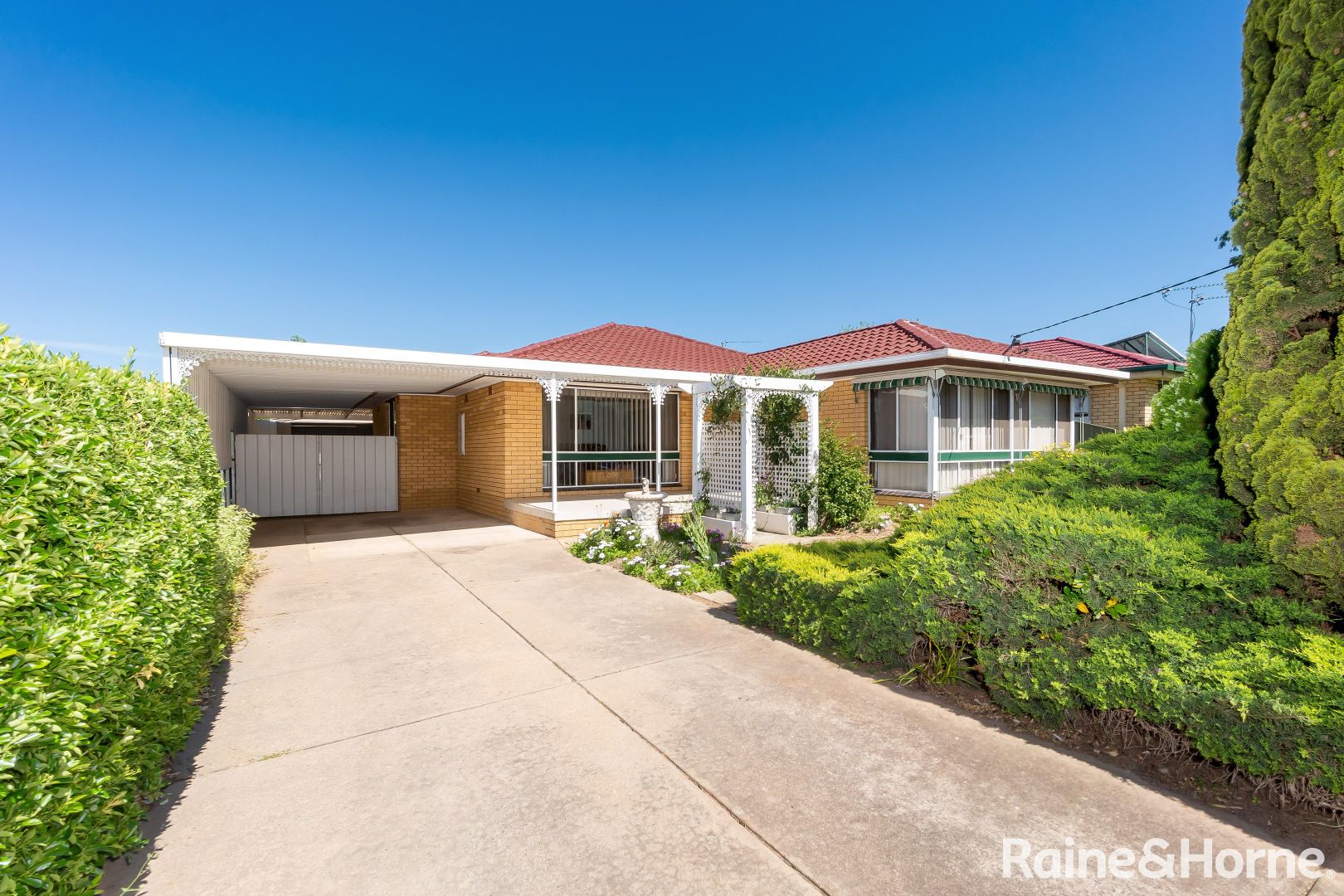 50 Walana Crescent, Kooringal NSW 2650