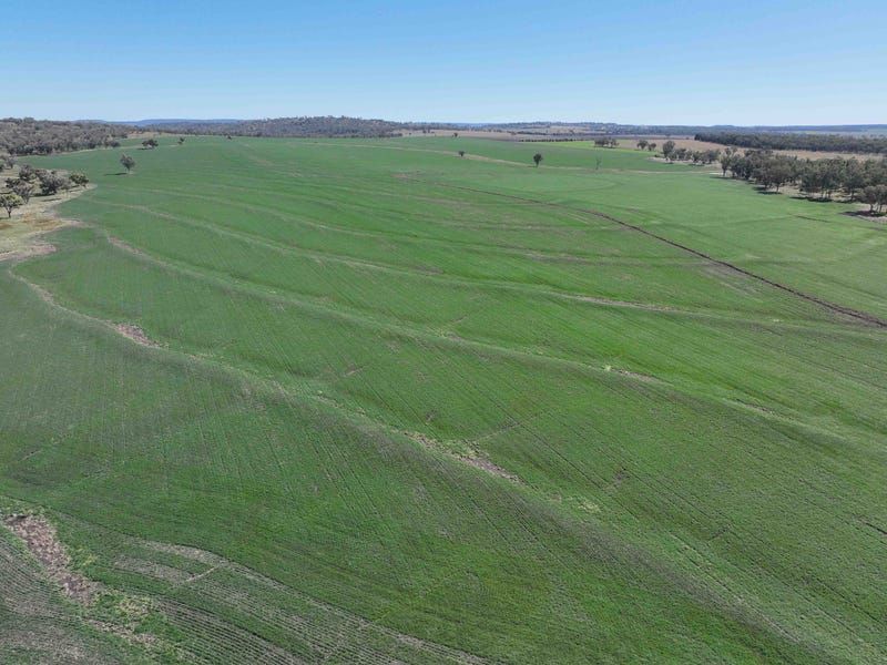 Burmah Aggregation, Burmah Road, Graman NSW 2360, Image 0