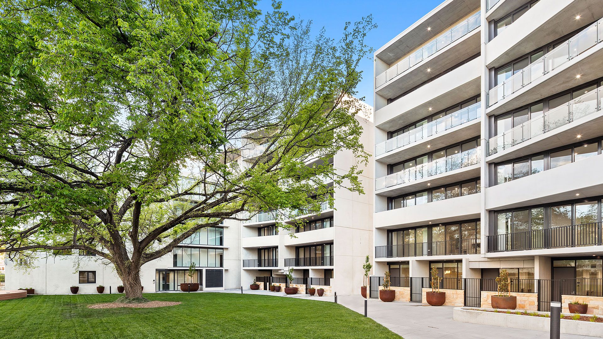 Braddon ACT 2612 Domain