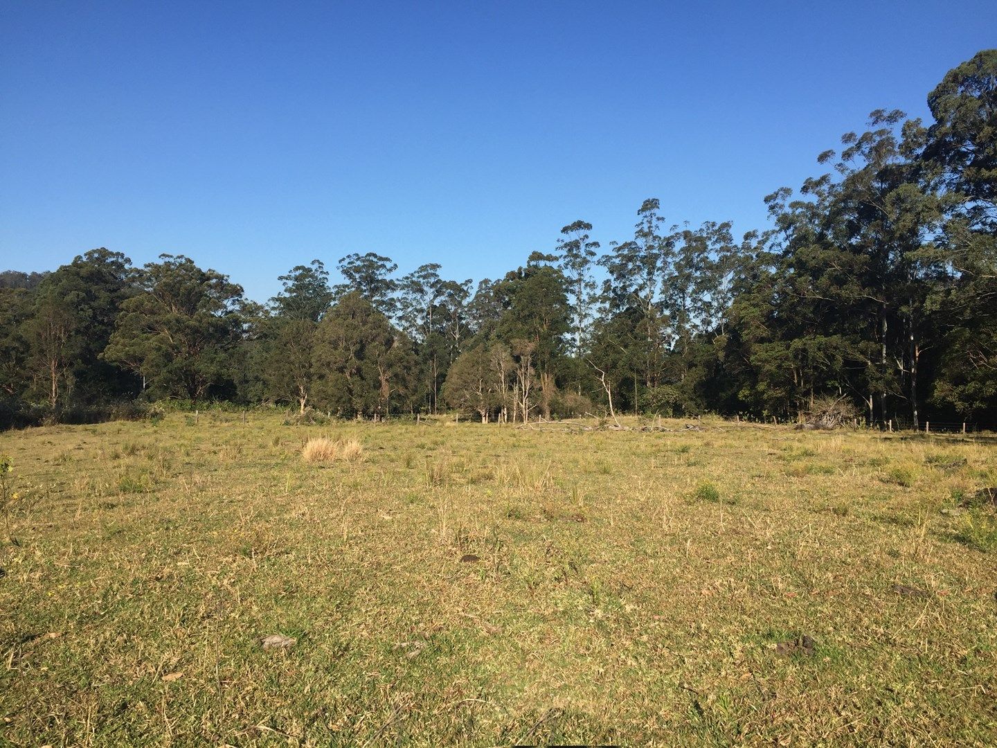 397 Lindsay Road, Larnook NSW 2480, Image 2