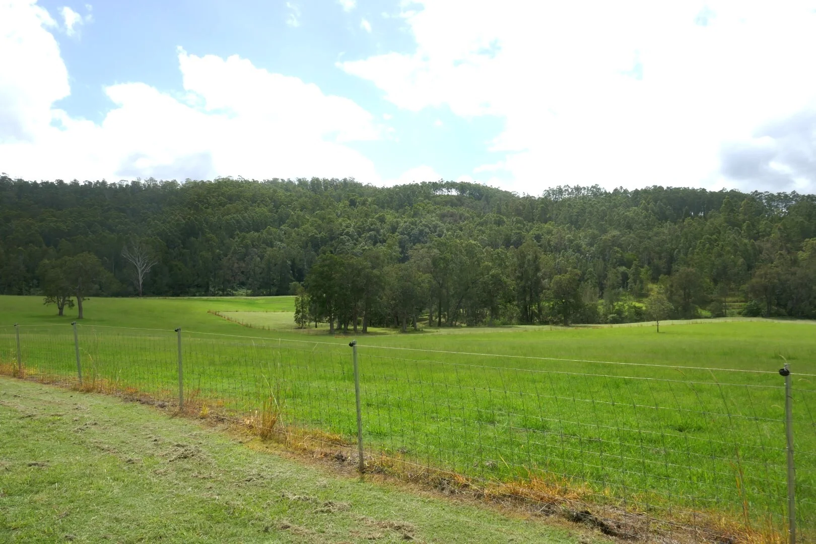Additional image 9 of Lot 10 Iron Pot Creek Road, Kyogle NSW 2474