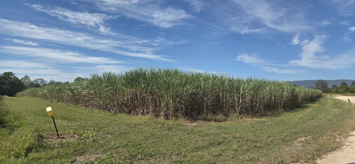 Additional image 13 of Lot 101 & 3 Lannercost Extension Road, Lannercost QLD 4850