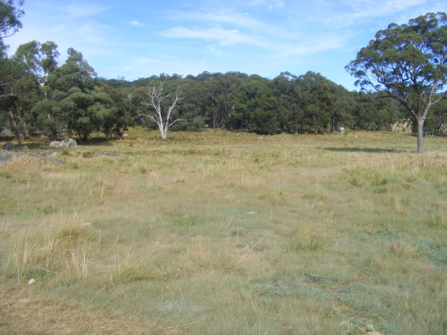 Image 15