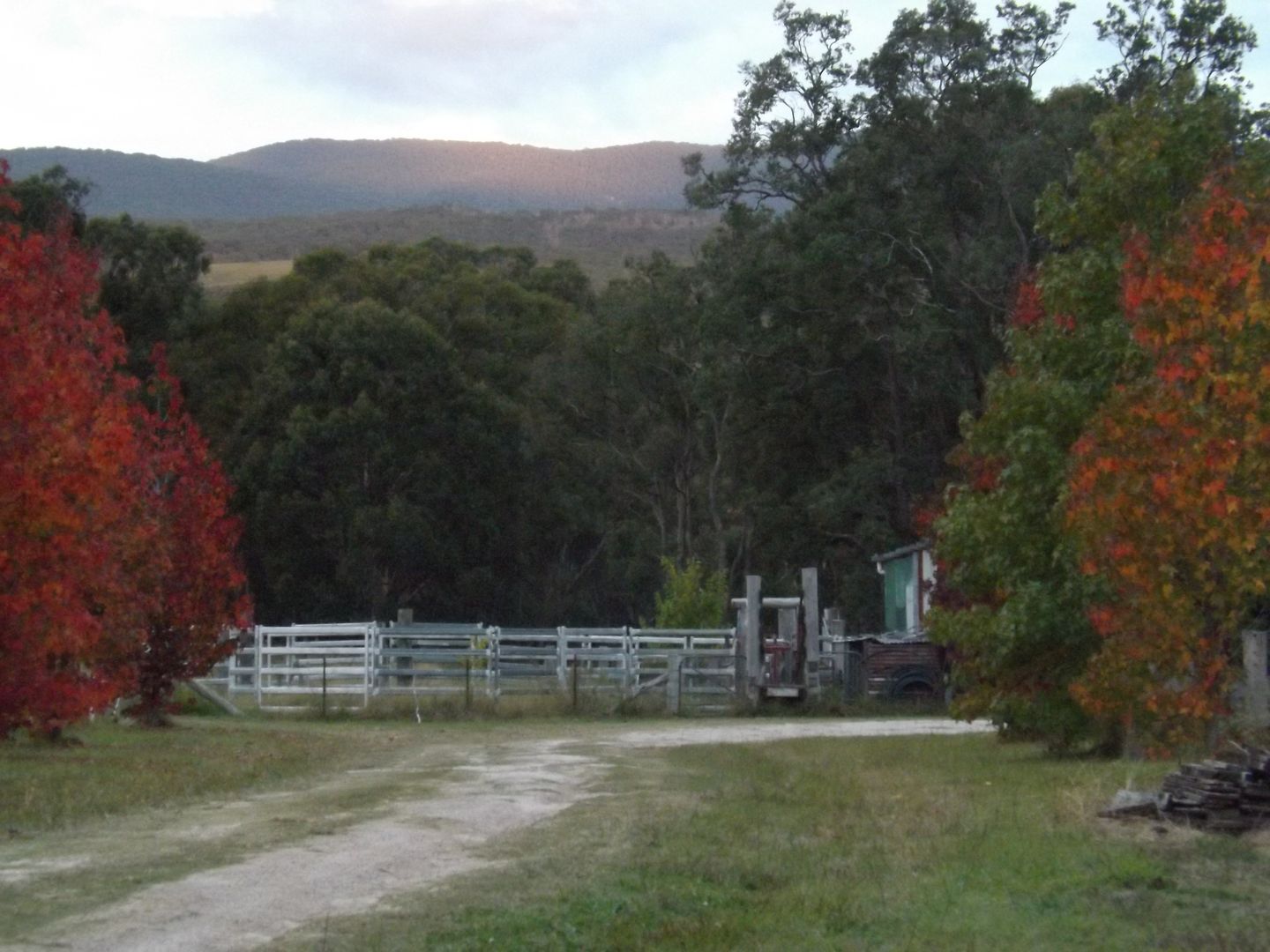 7063 New England Highway, Sandy Flat, Tenterfield NSW 2372 House for