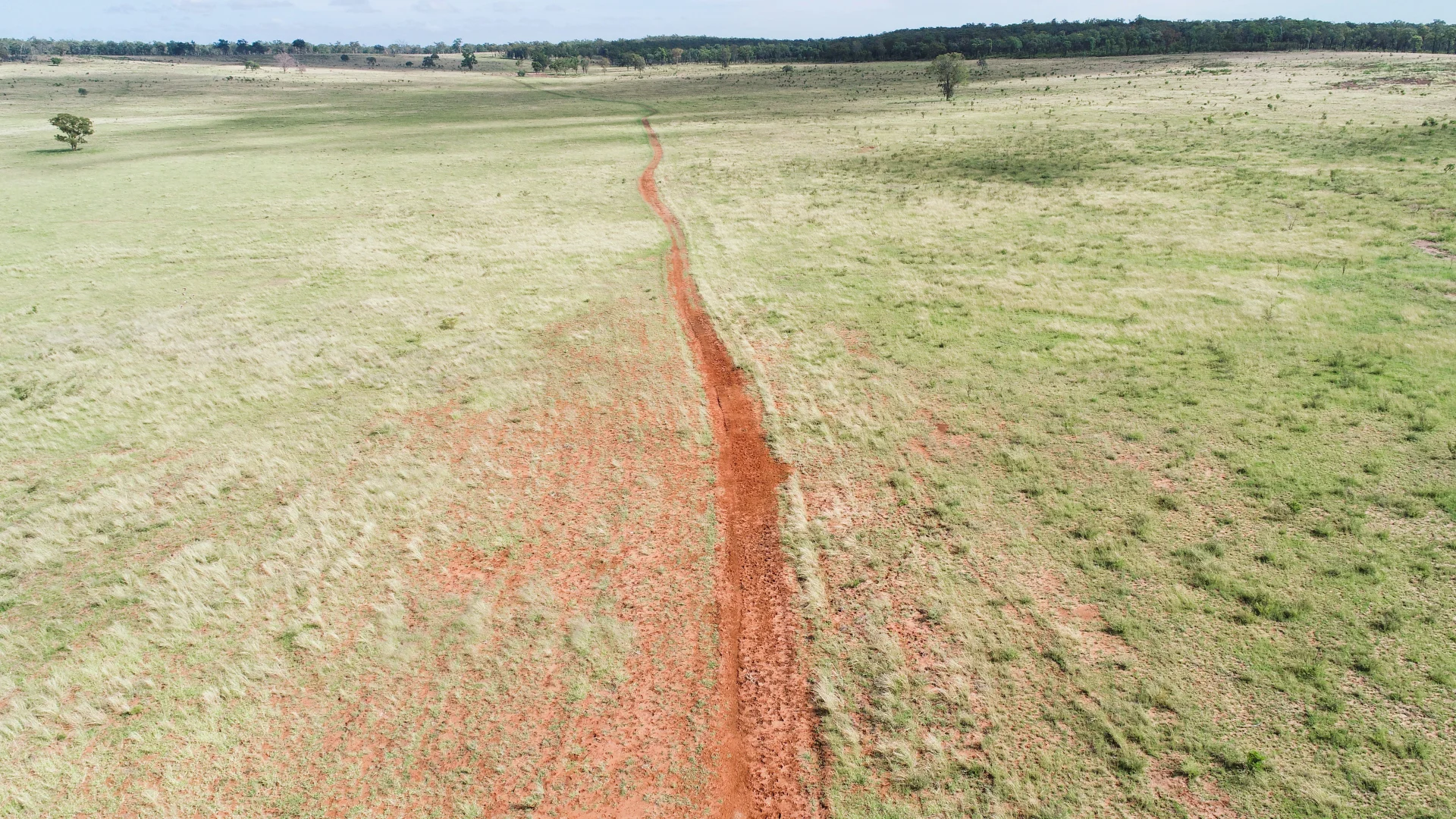 Additional image 9 of 'Langley' 344 Clarke Creek Road, Dulacca QLD 4425