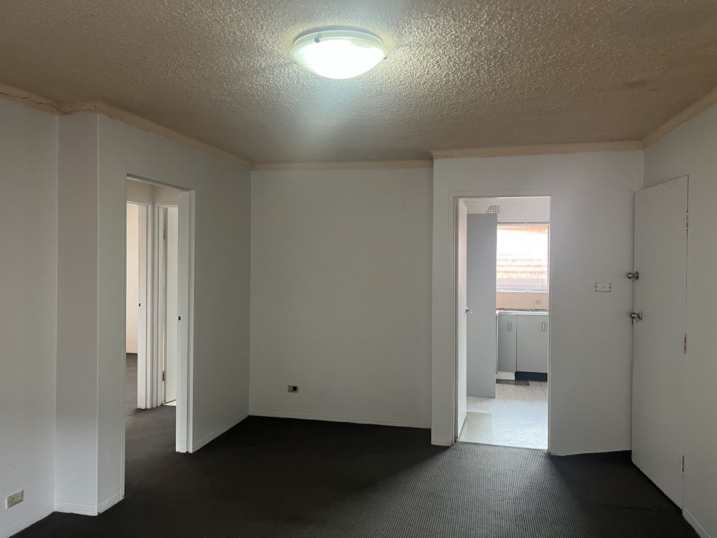 5/31 King Road, Wiley Park NSW 2195 Apartment For Rent Domain