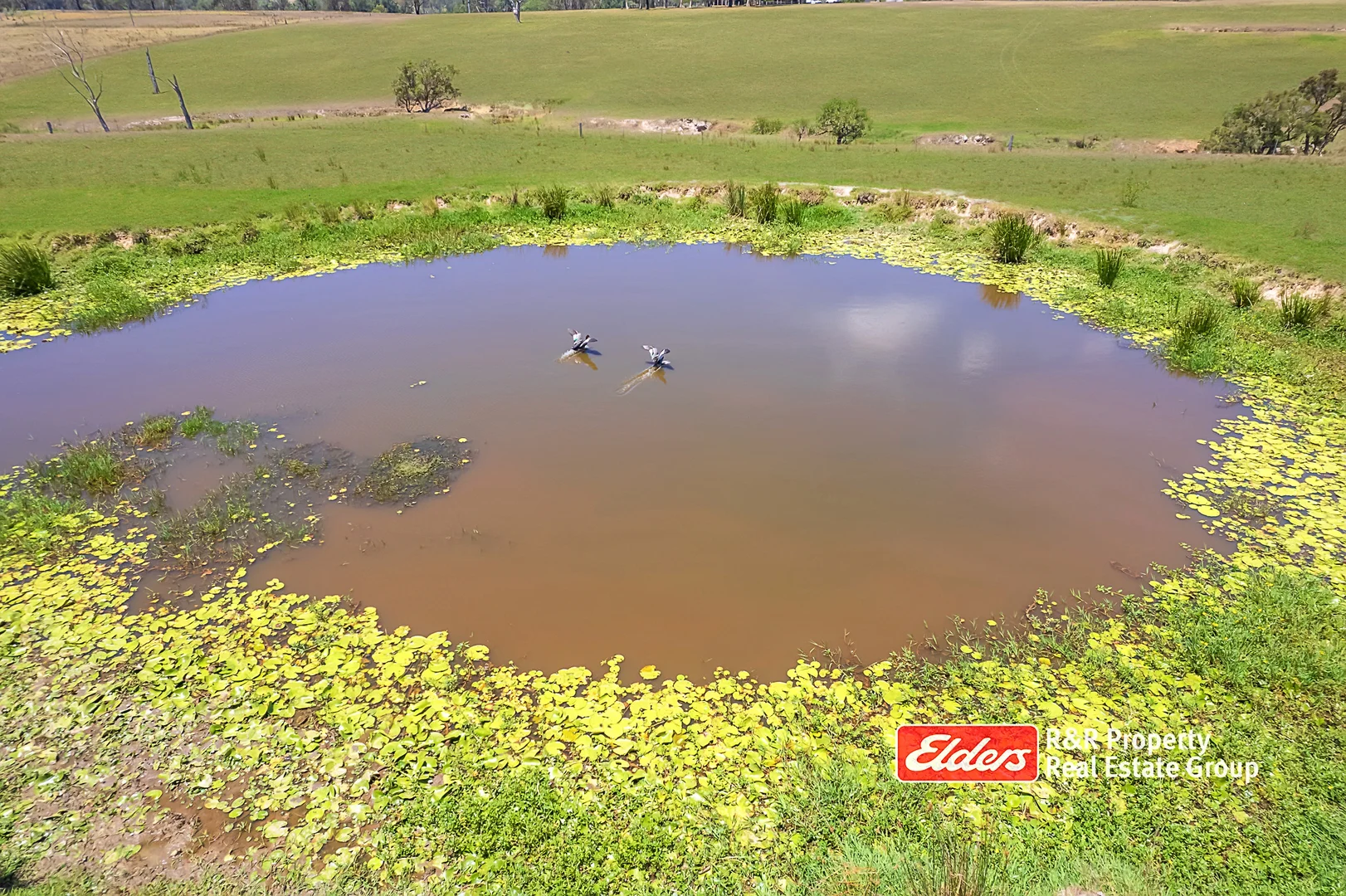 Additional image 28 of 135 Crowthers Road - Stratford Via, Gloucester NSW 2422