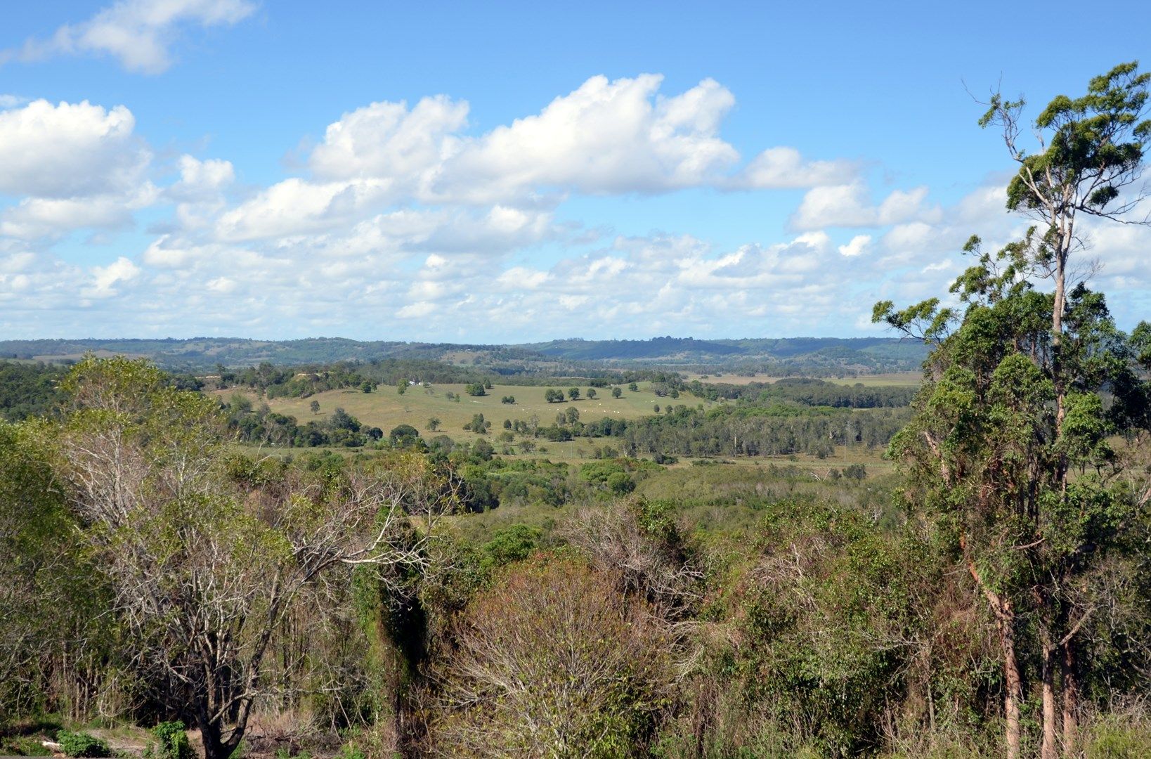 136 Tuckurimba Road, Tuckurimba NSW 2480, Image 0