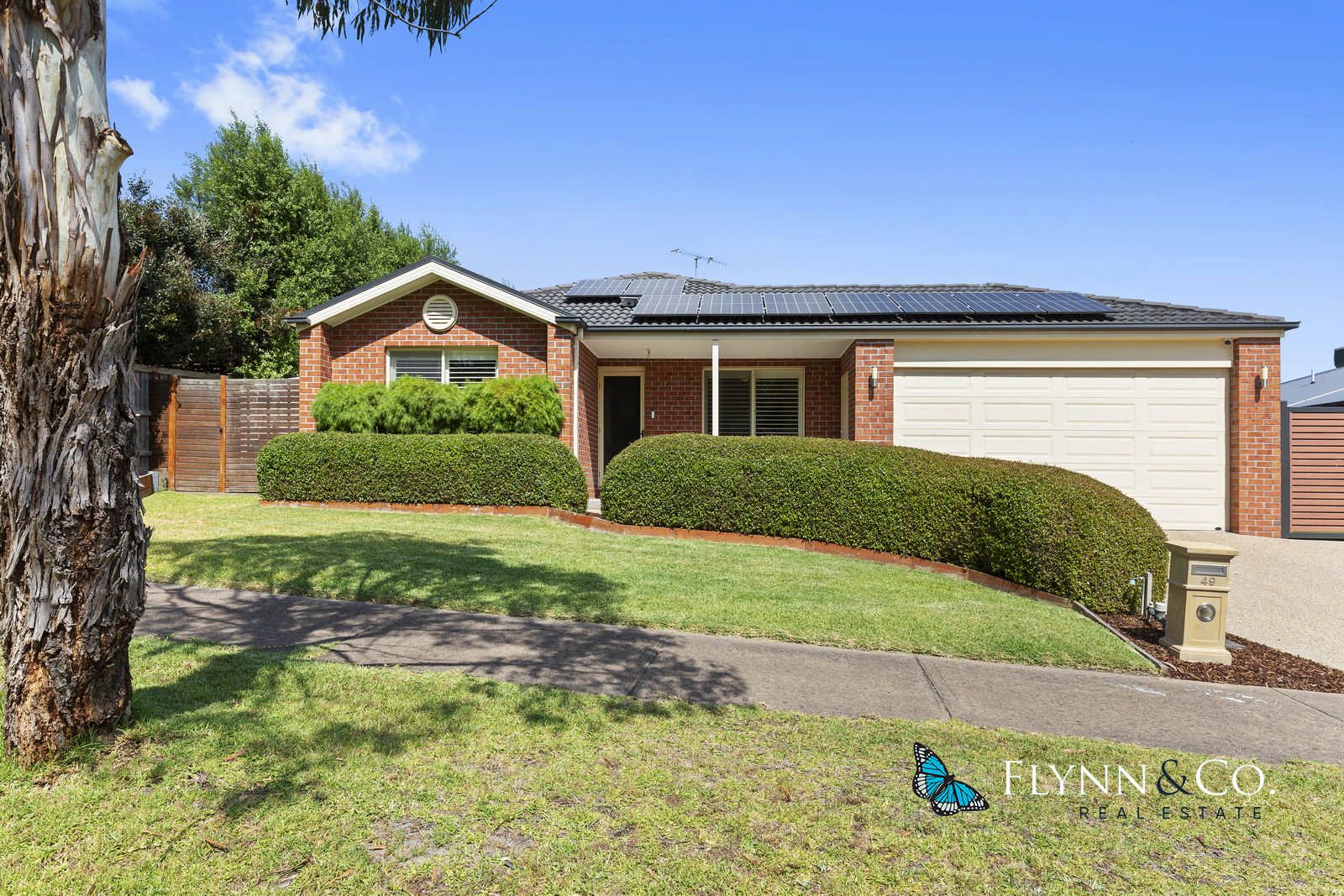49 Wallaby Drive, Rosebud VIC 3939 Domain