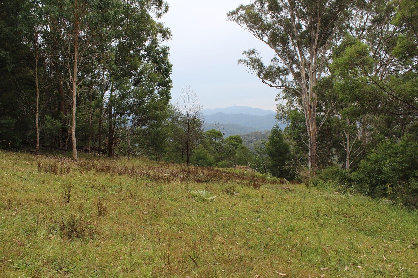 Lot 17 Eagles Nest Rd, Brogo NSW 2550, Image 1