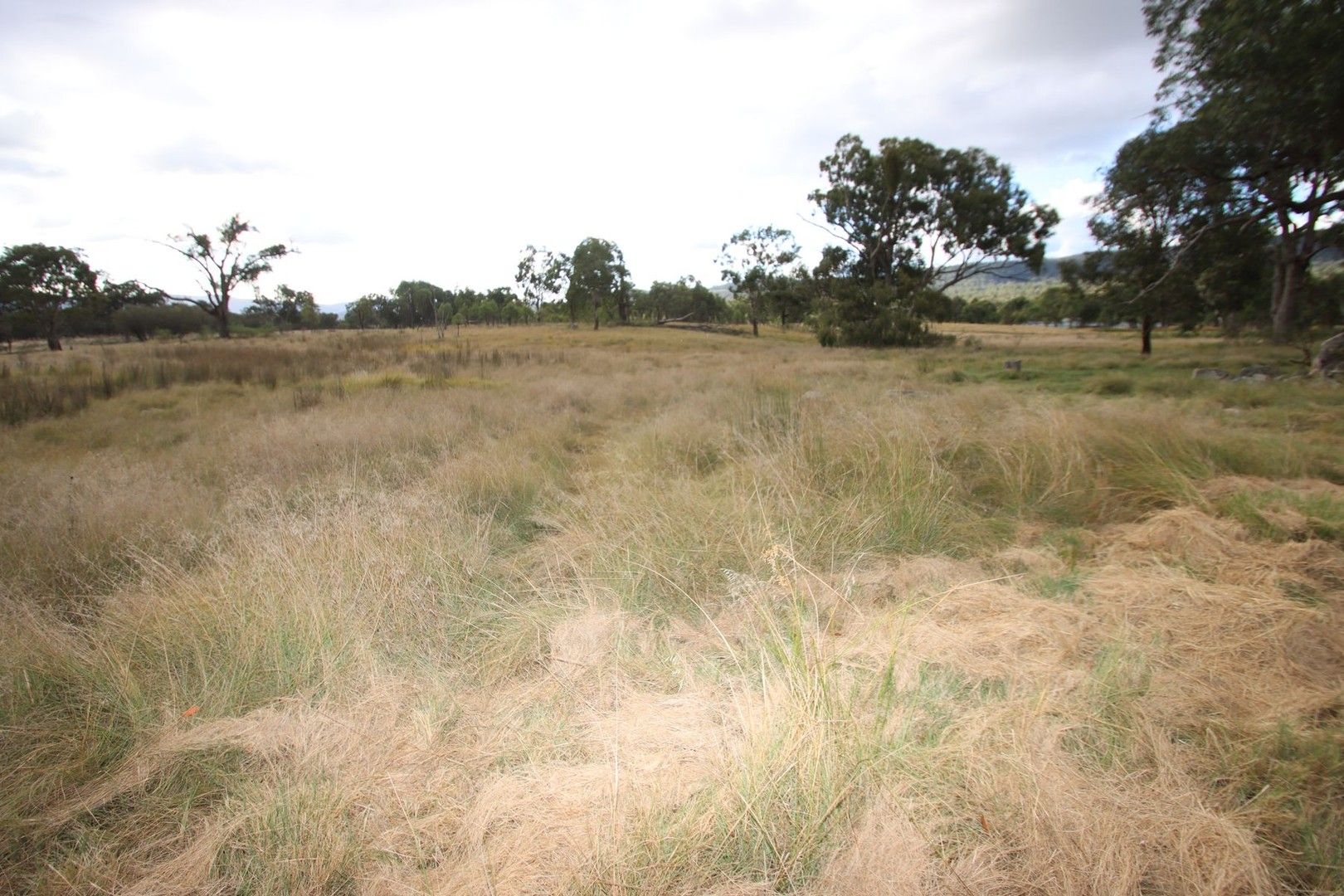 Lot 1423 Sunnyside Hall Road, Tenterfield NSW 2372, Image 0