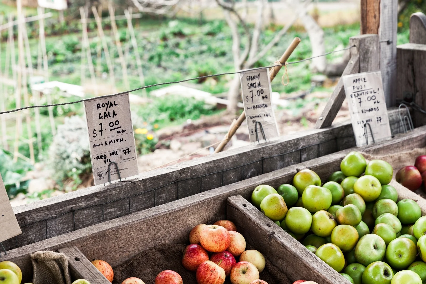 Additional image 29 of 208/139-143 Noone Street, Clifton Hill VIC 3068