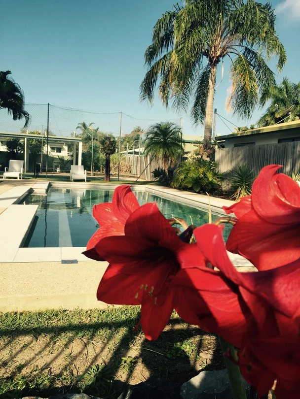 1 Spa 15 Pacific Drive, Blacks Beach QLD 4740