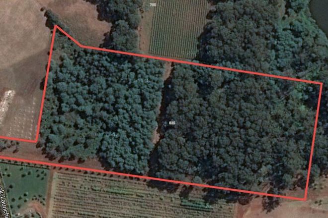 Picture of 825 Gembrook - Launching Place Road, HODDLES CREEK VIC 3139