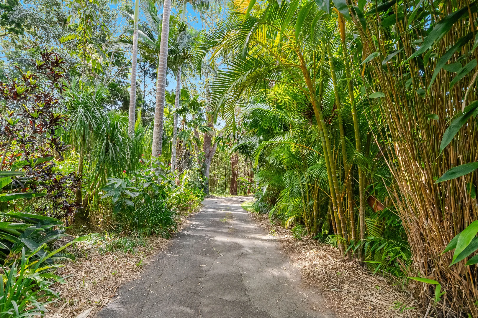 Additional image 28 of 510 Goonengerry Road, Montecollum NSW 2482