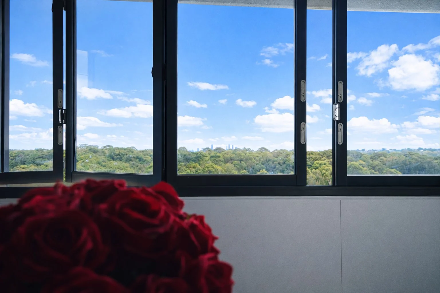 Additional image 20 of 13092/5 Bennelong Pkwy, Wentworth Point NSW 2127