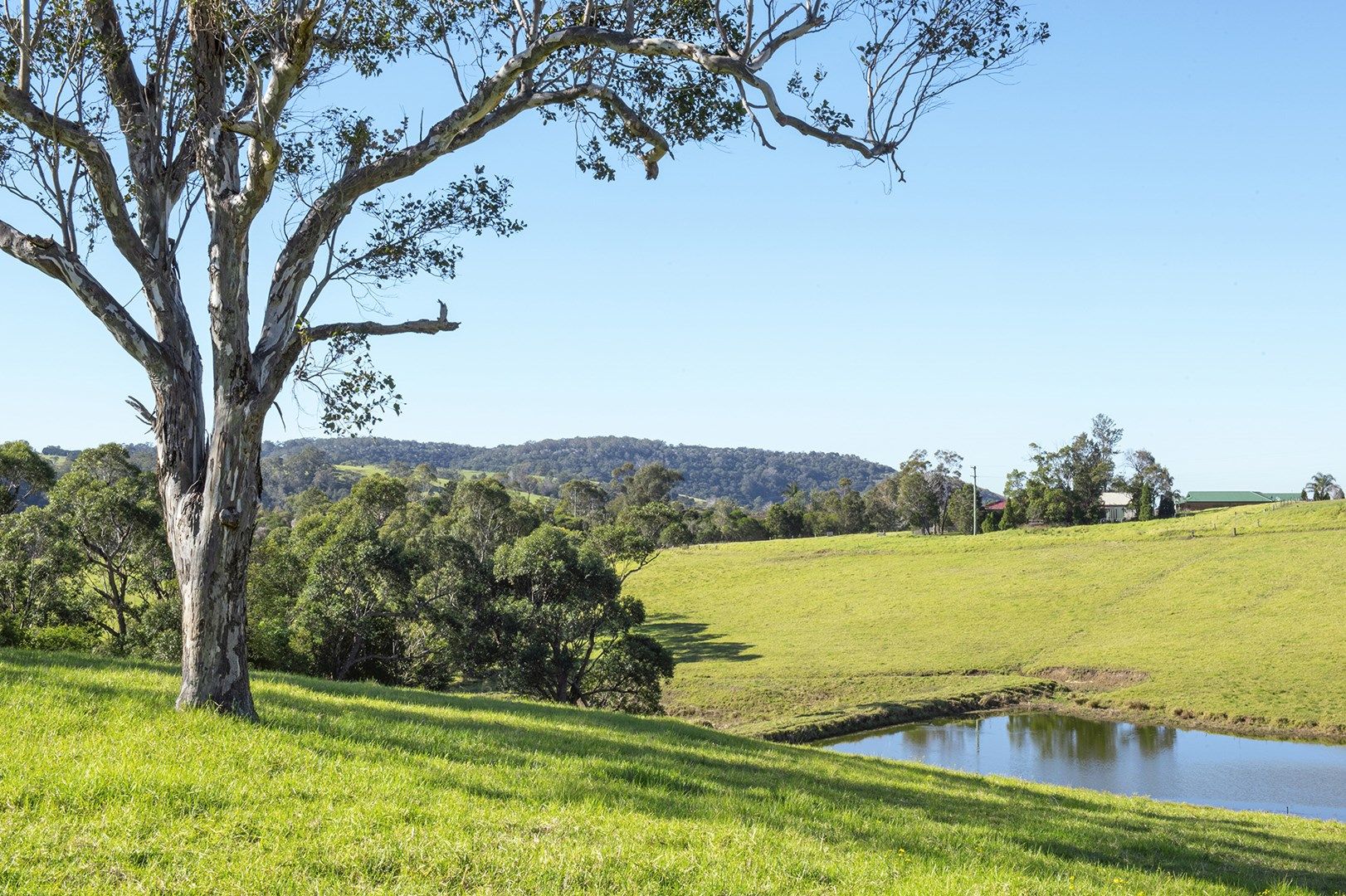 Lot 7 /2a Downes Place, Jamberoo NSW 2533, Image 0