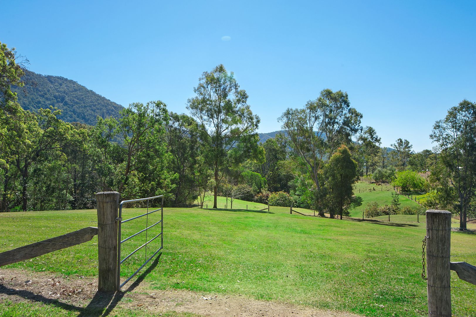 256 Foggs Road, Mount Samson QLD 4520, Image 2