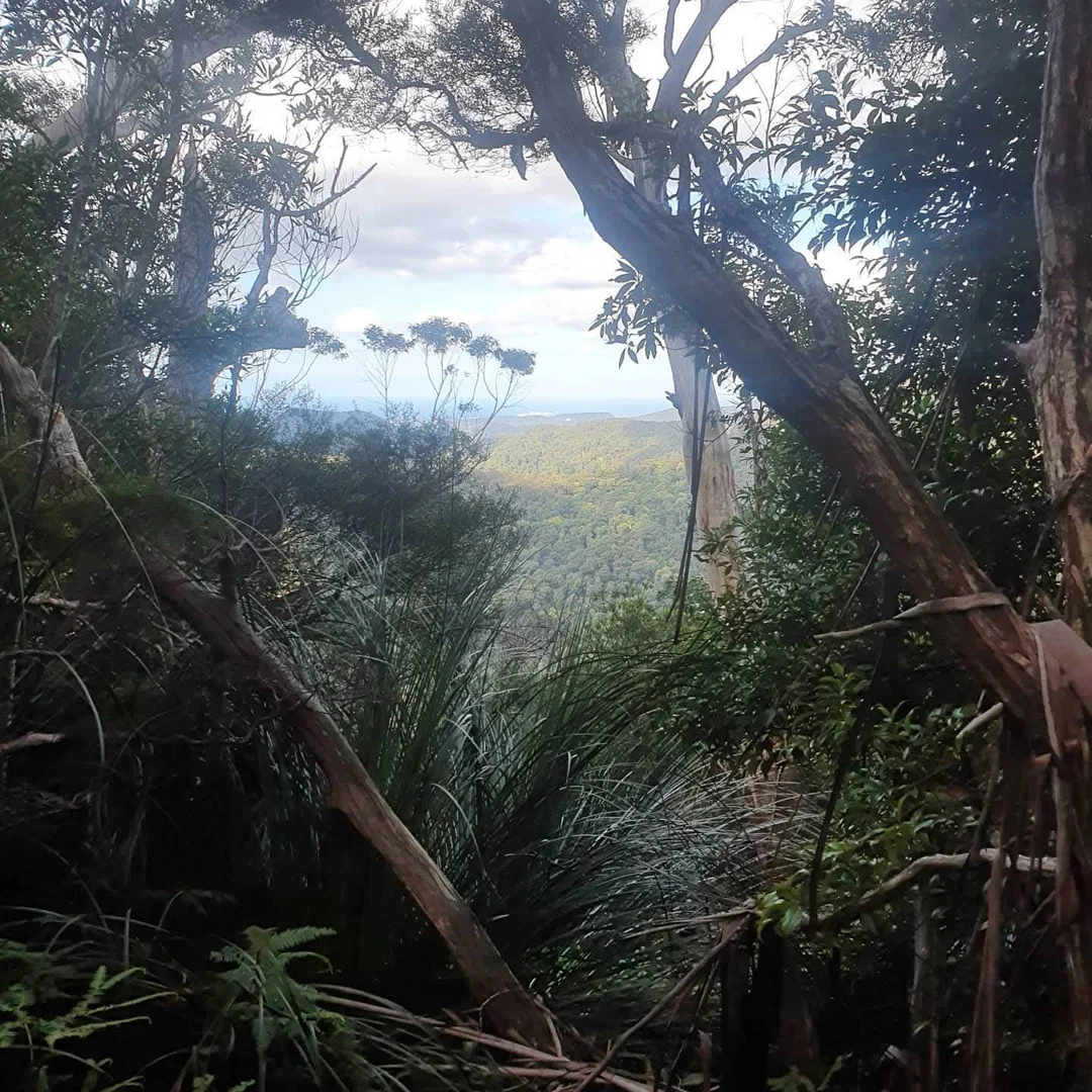 Additional image 2 of Springbrook QLD 4213