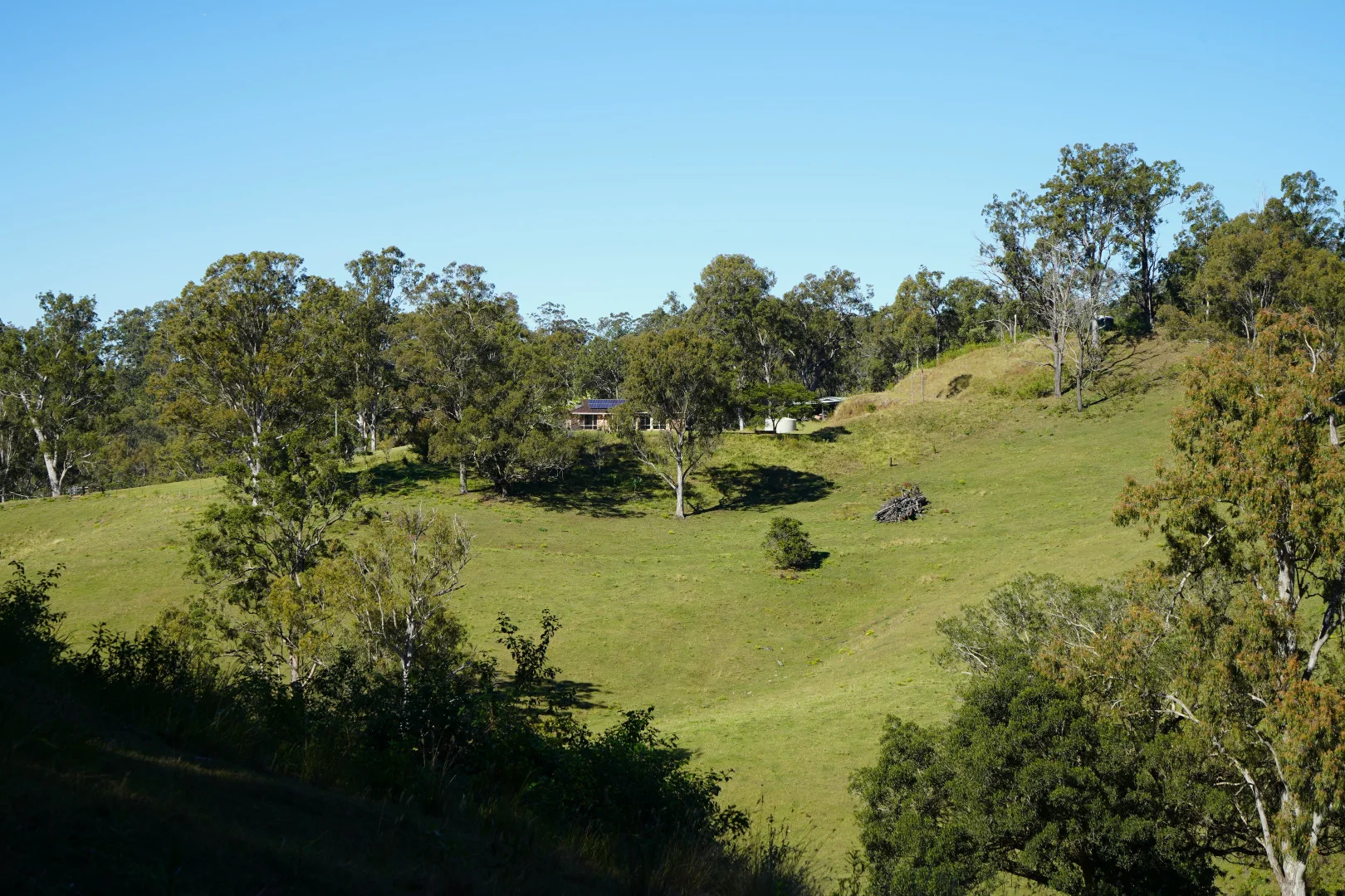 Image 6