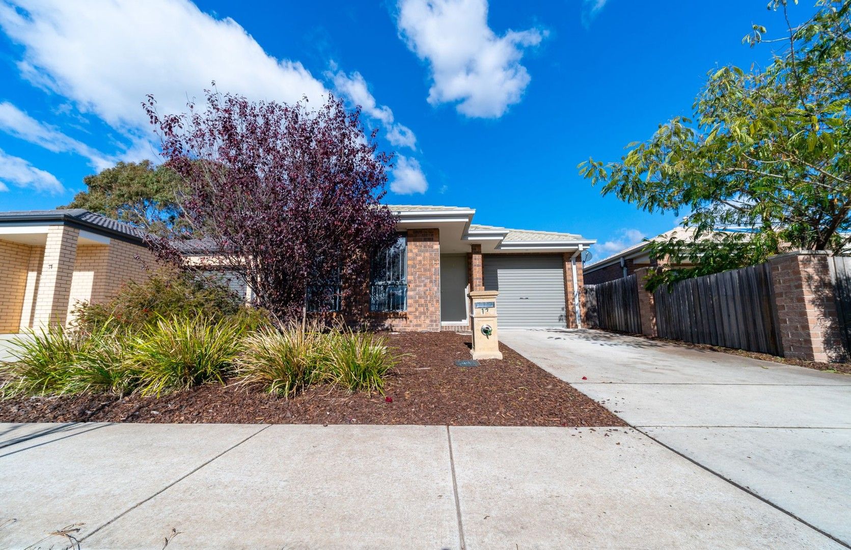 3 bedrooms House in 13 John Holt Street MACGREGOR ACT, 2615