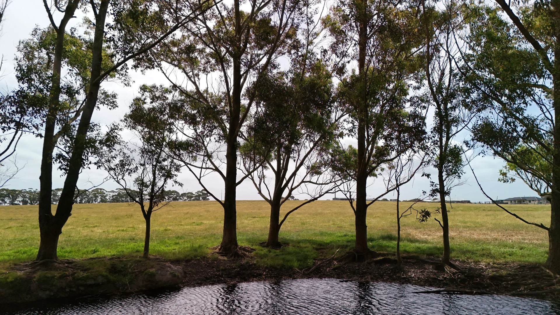 Image 18