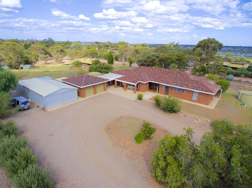 50 Thiele Rd, Murray Bridge East SA 5253 Domain