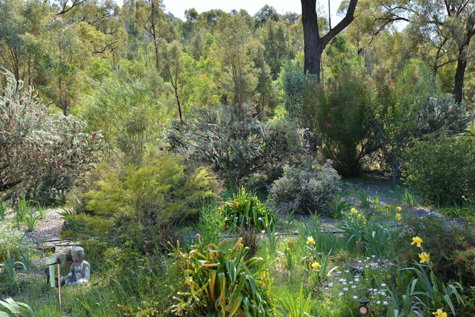 Image 14