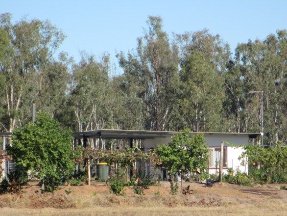 1914 Tara Kogan Road Tara Qld 4421 House For Sale 110 000