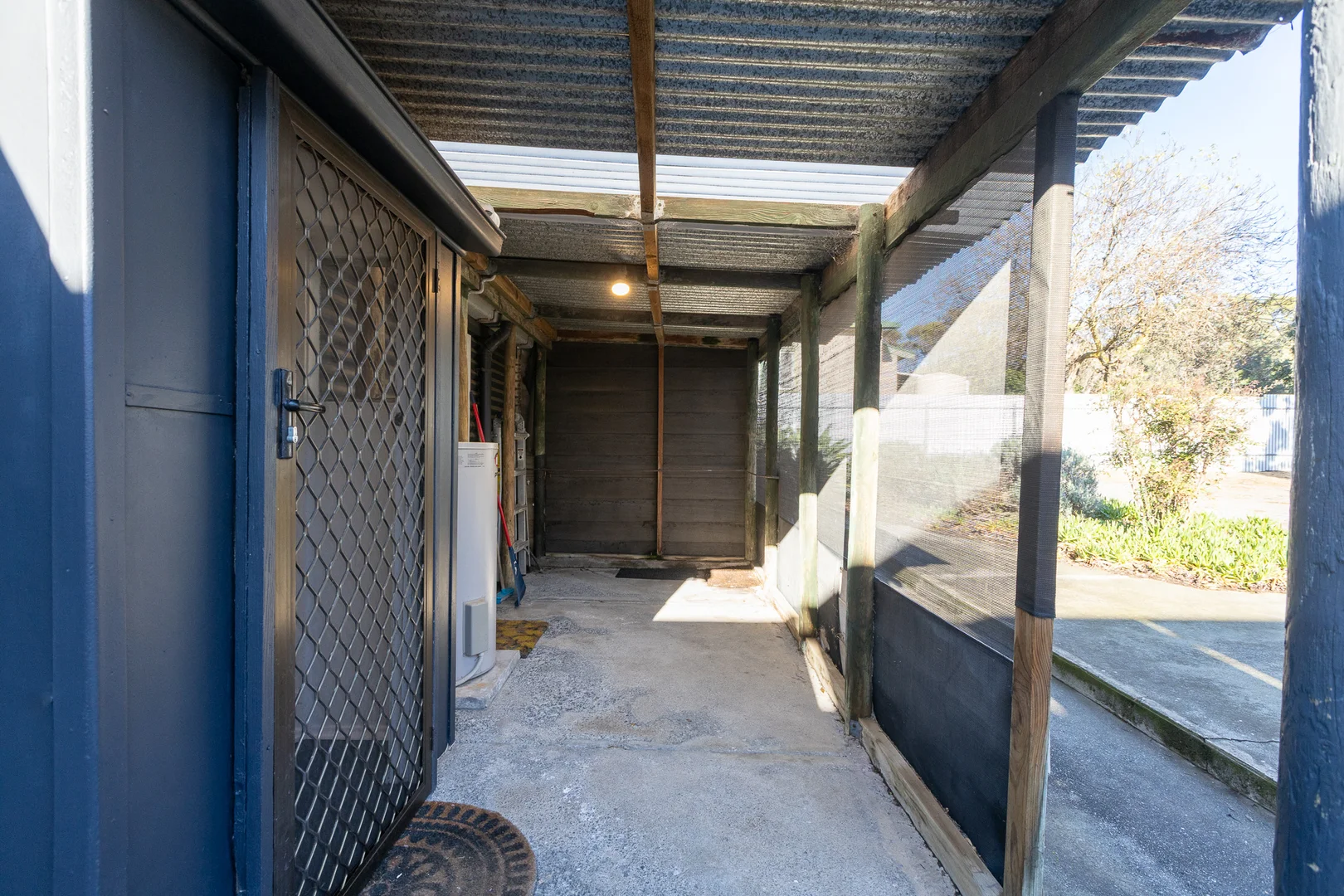 Image 19