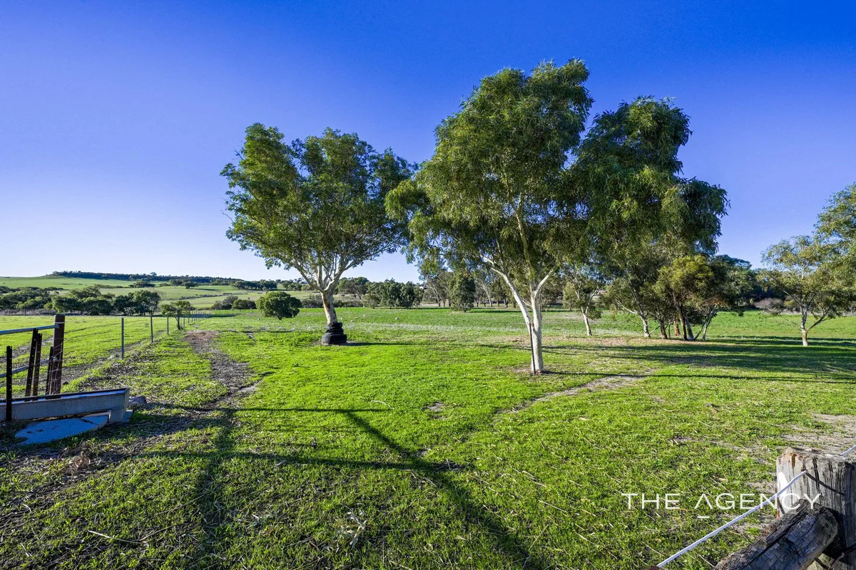 Image 11