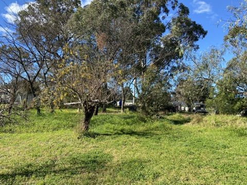 35 Princess Highway, Cobargo NSW 2550, Image 2