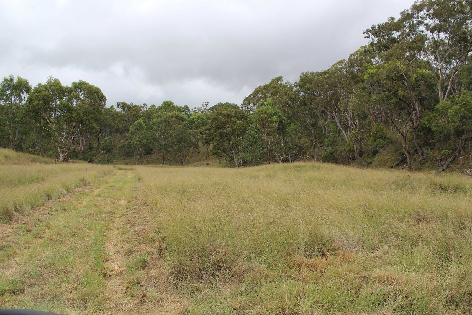 Lot 113 Barlows Gate Road, Elbow Valley QLD 4370, Image 1