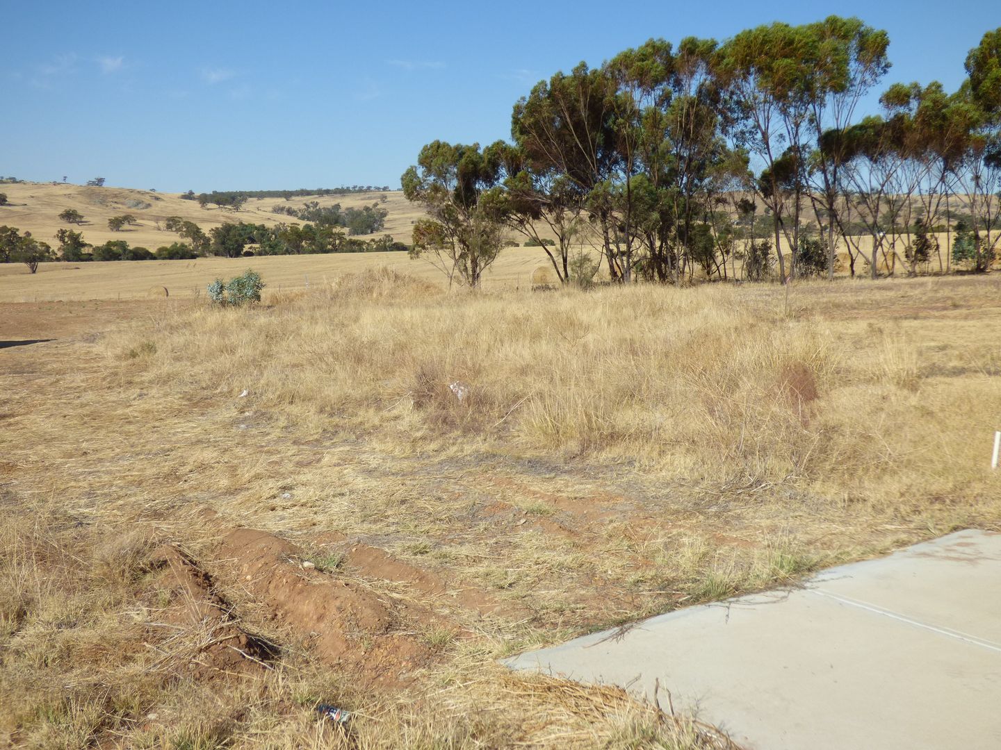 Lot 335 Rayner Loop, Nunile, Toodyay WA 6566, Image 1