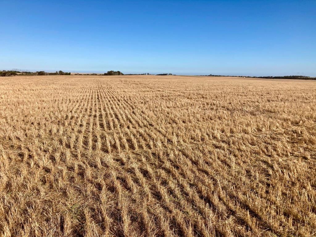 Weavers North Road, Ramsay SA 5575, Image 1