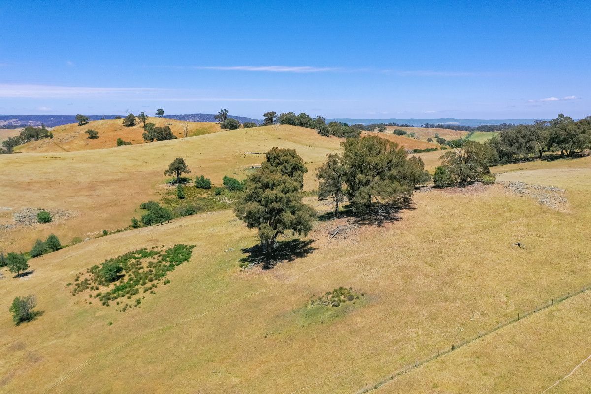 Bortolot Road, Huon Creek VIC 3691, Image 1