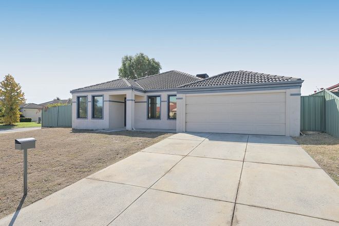 Picture of 24 Excalibur Chase, WATTLE GROVE WA 6107