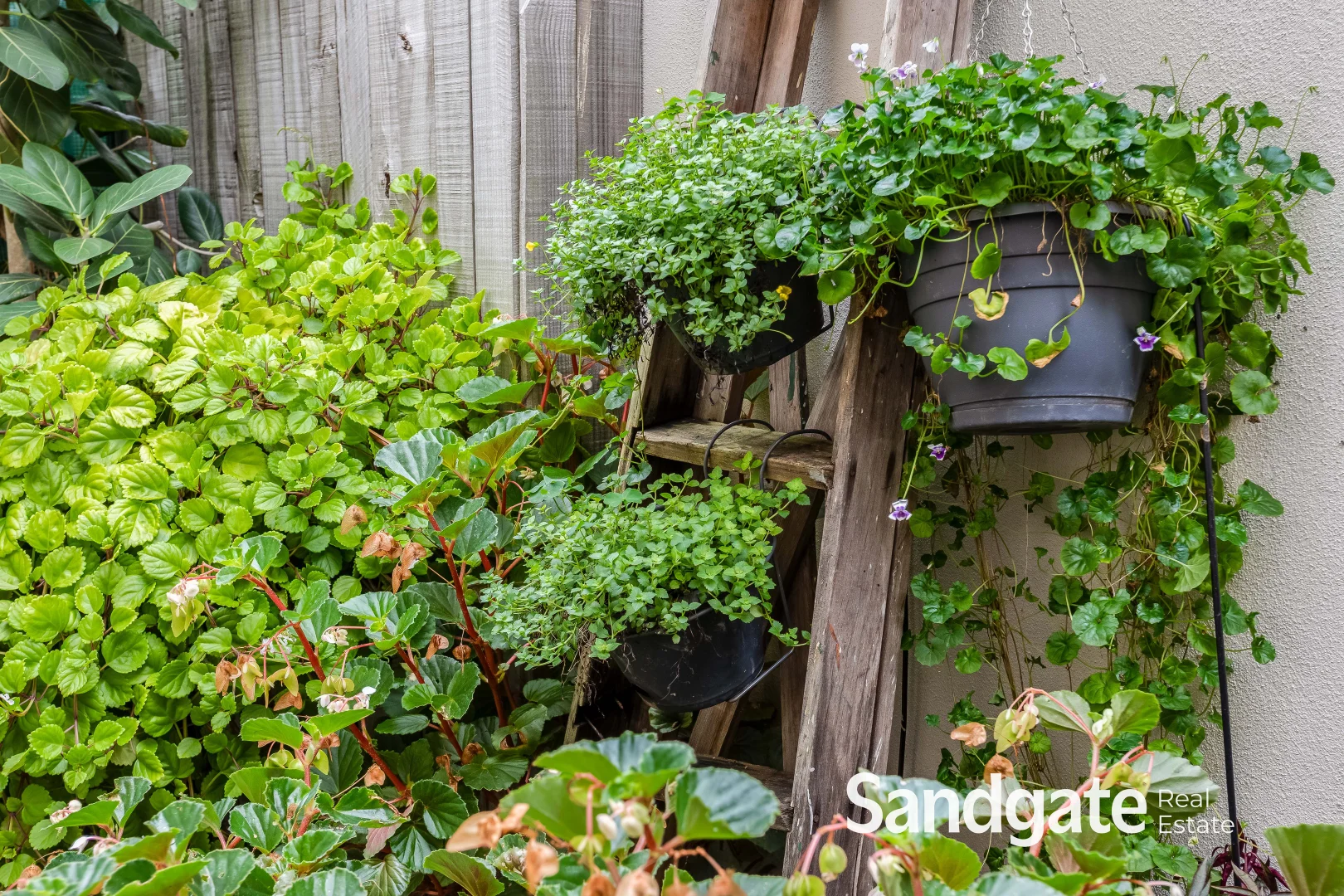 Additional image 30 of 25 Oxford Place, Shorncliffe QLD 4017