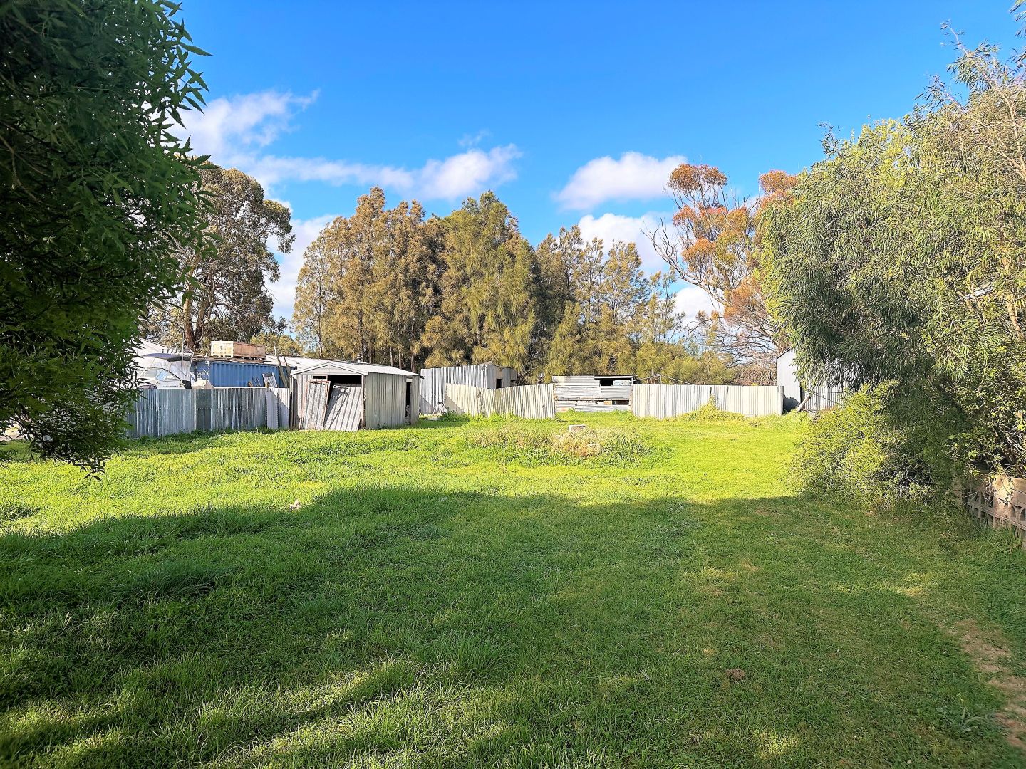 Allt. 1 5 Wheeler Street, Naracoorte SA 5271 | Domain