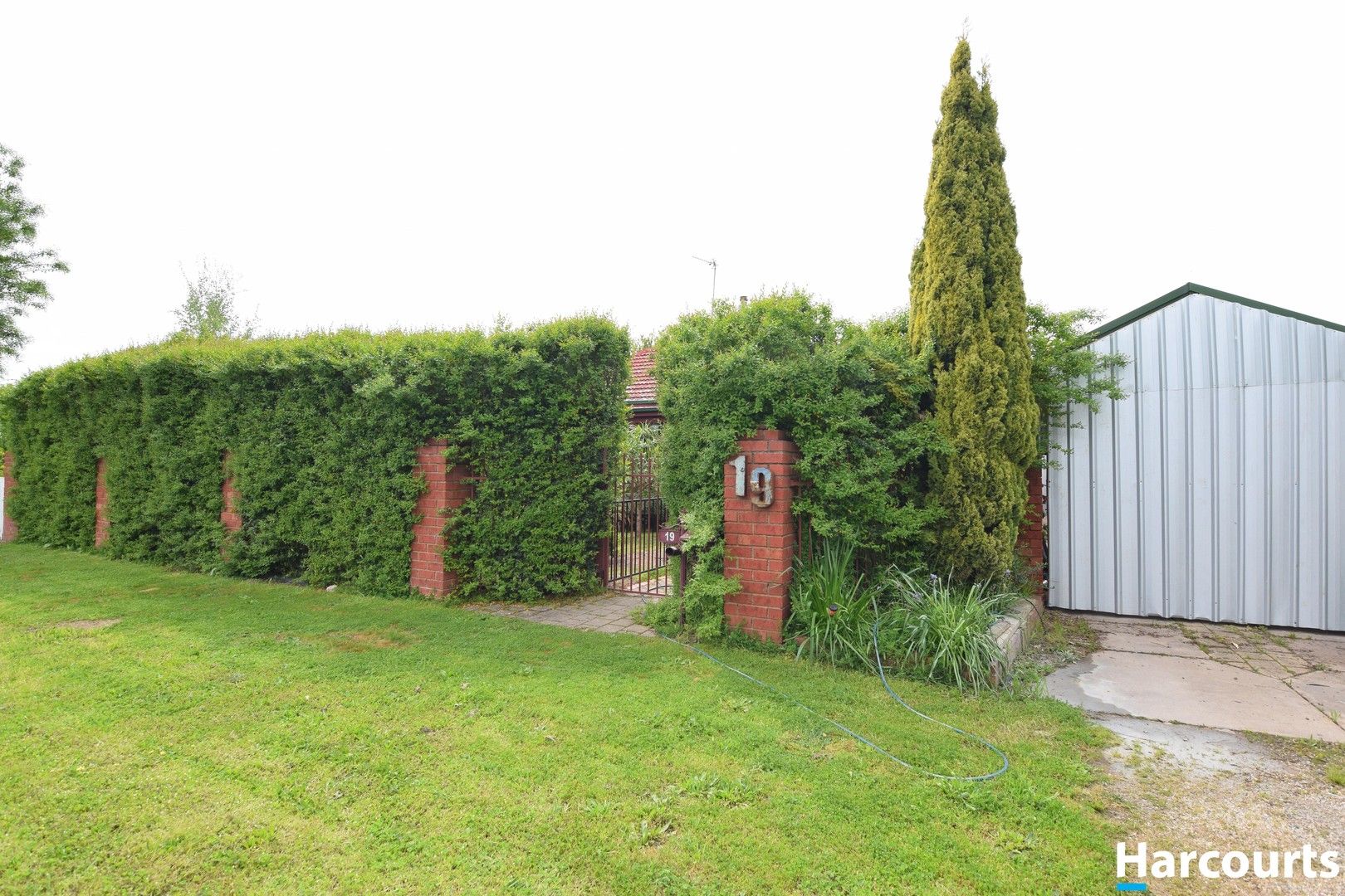 5 bedrooms House in 19A McGill Street BENALLA VIC, 3672