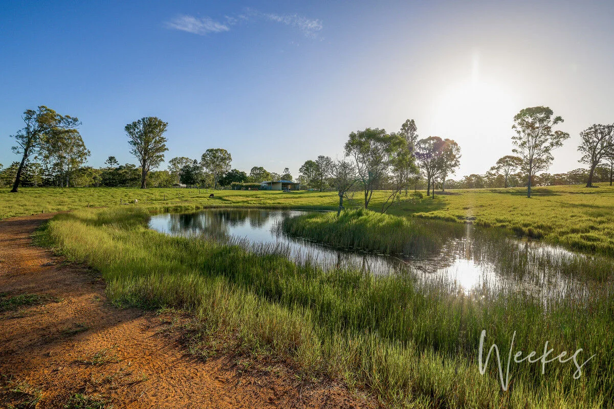 Additional image 6 of 373 Baumanns Road, Avondale QLD 4670