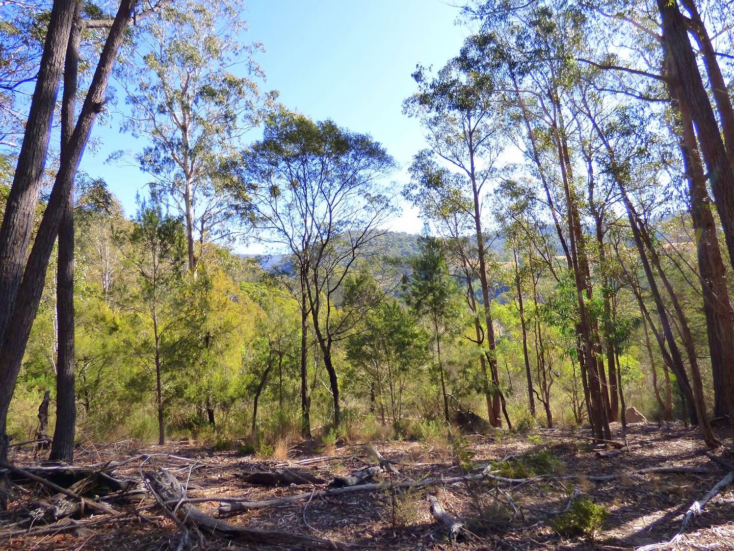 Lot 661 Mt Darragh Rd, Lochiel NSW 2549, Image 1